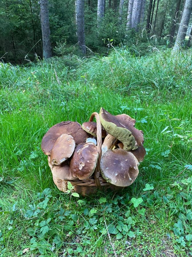 Ctyri Pokoje Tachov  Dış mekan fotoğraf